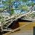 Livingston Fallen Tree Damage by Jersey Pro Restoration LLC